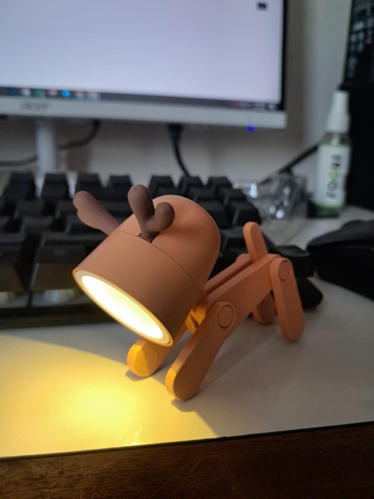 Arseeaura's Mini LED Desk Lamp